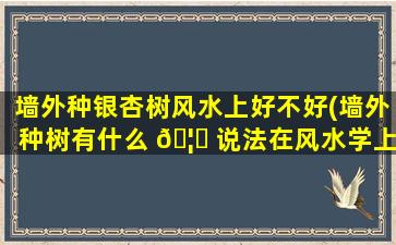 墙外种银杏树风水上好不好(墙外种树有什么 🦄 说法在风水学上)